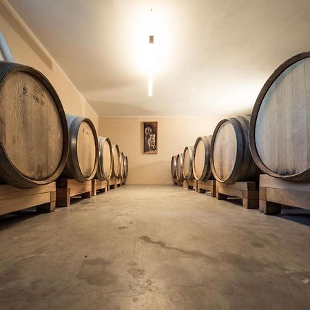 Villa Weingut Donà à Appiano Sulla Strada Del Vino Extérieur photo