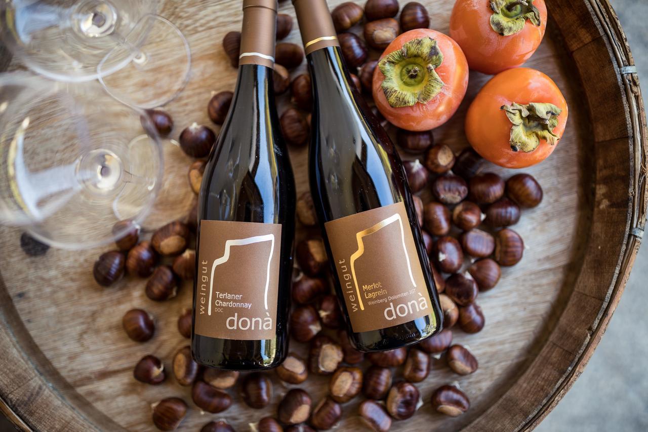 Villa Weingut Donà à Appiano Sulla Strada Del Vino Extérieur photo