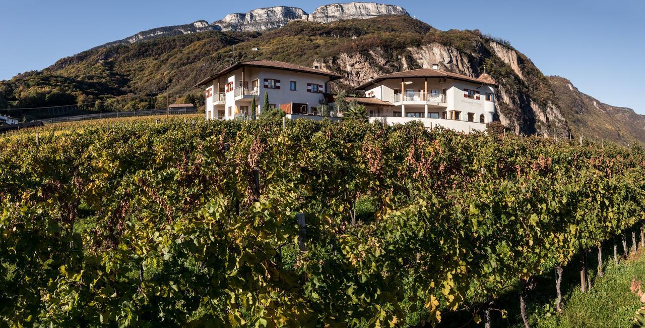 Villa Weingut Donà à Appiano Sulla Strada Del Vino Extérieur photo