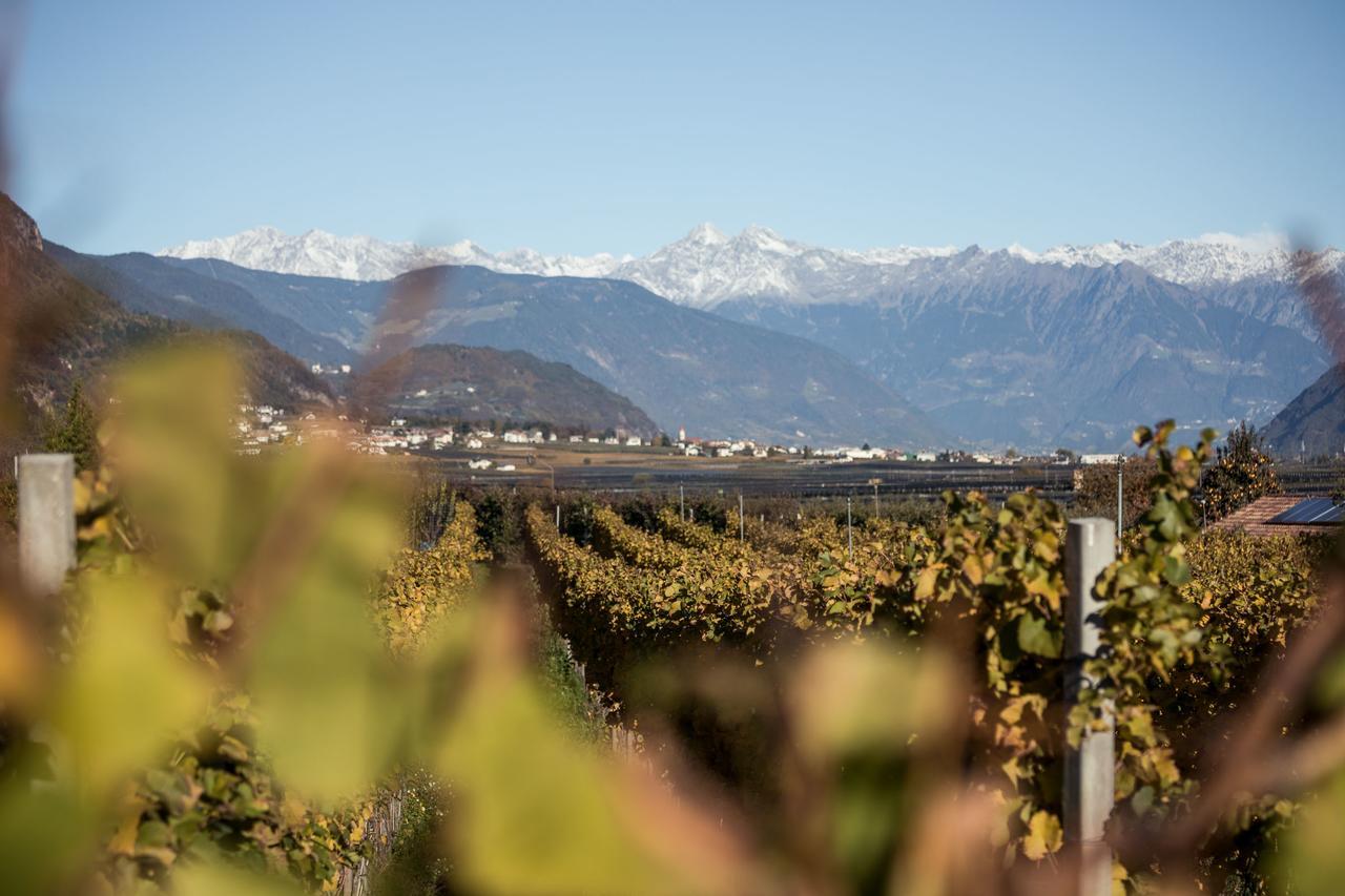 Villa Weingut Donà à Appiano Sulla Strada Del Vino Extérieur photo