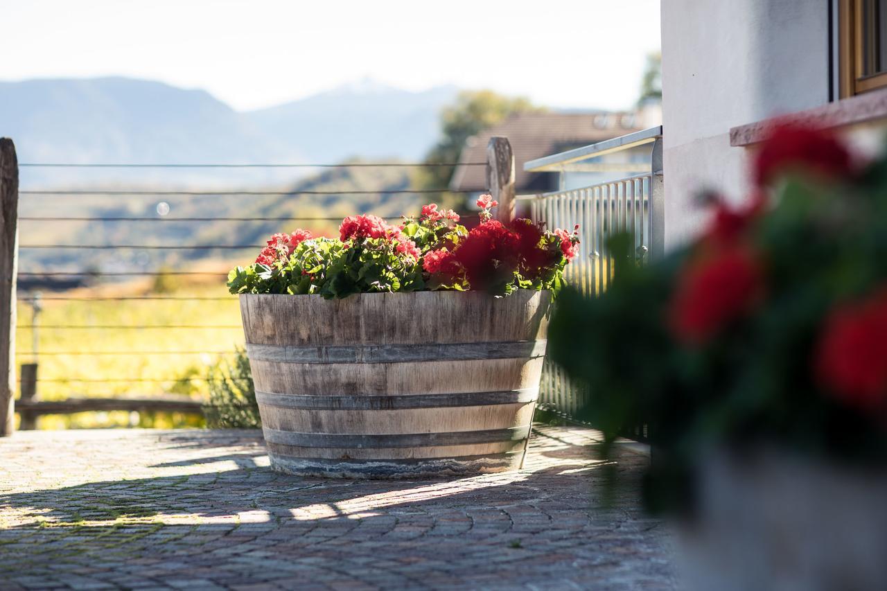 Villa Weingut Donà à Appiano Sulla Strada Del Vino Extérieur photo